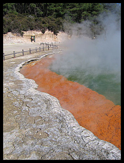 Champagne Pool